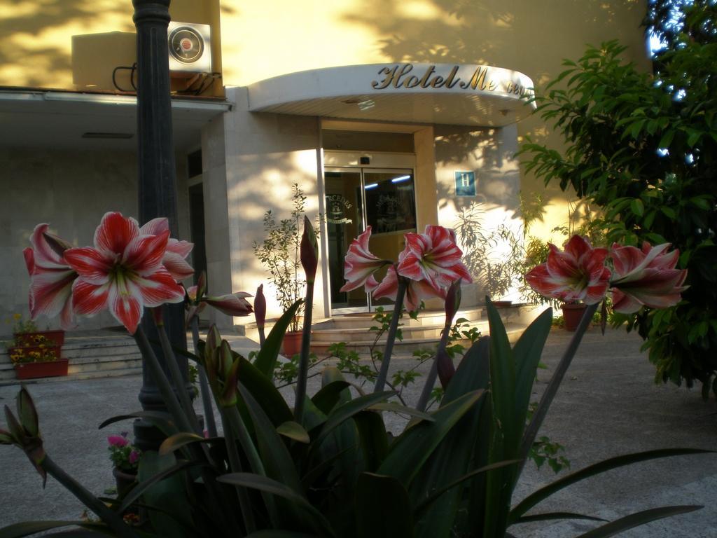 Hotel Mercedes Aranjuez Bagian luar foto